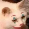 Стикер 20 👍 Котопак эмодзи