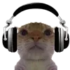 Стикер 25 👍 Котопак эмодзи