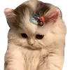 Стикер 61 👍 Котопак эмодзи