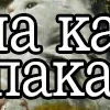 Стикер 6 👍 Котопак эмодзи