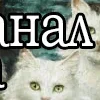 Стикер 7 👍 Котопак эмодзи