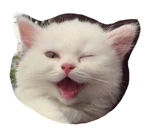 😉 Стикер «Caticker» для Telegram