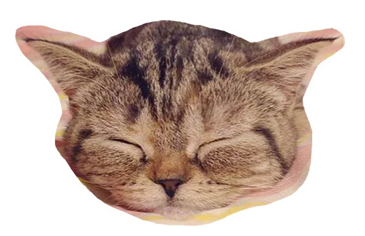 😴 Стикер «Caticker» для Telegram