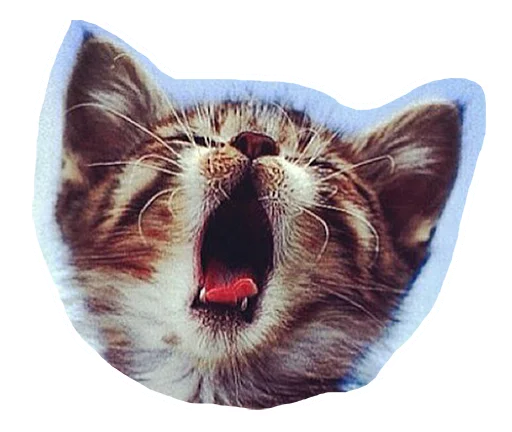 😴 Стикер «Caticker» для Telegram
