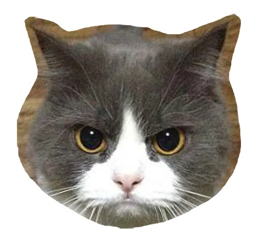 😤 Стикер «Caticker» для Telegram
