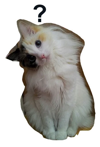 🤔 Стикер «Caticker» для Telegram