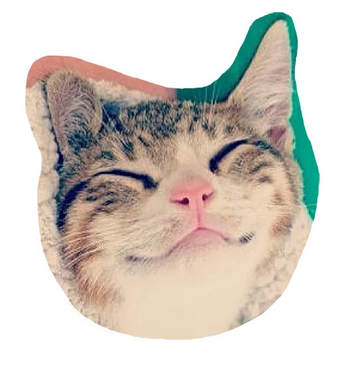 😊 Стикер «Caticker» для Telegram