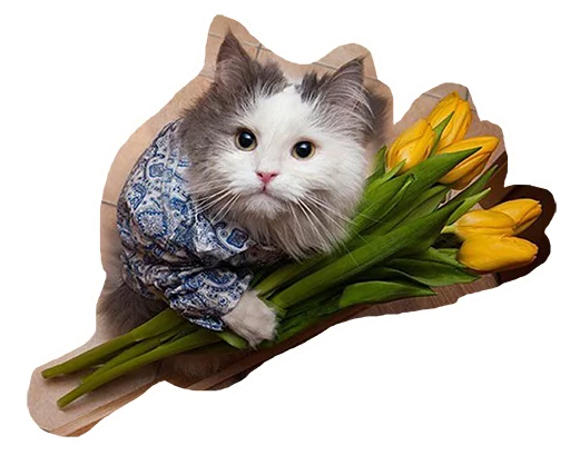 🌻 Стикер «Caticker» для Telegram