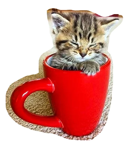 ☕ Стикер «Caticker» для Telegram