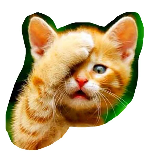🙈 Стикер «Caticker» для Telegram
