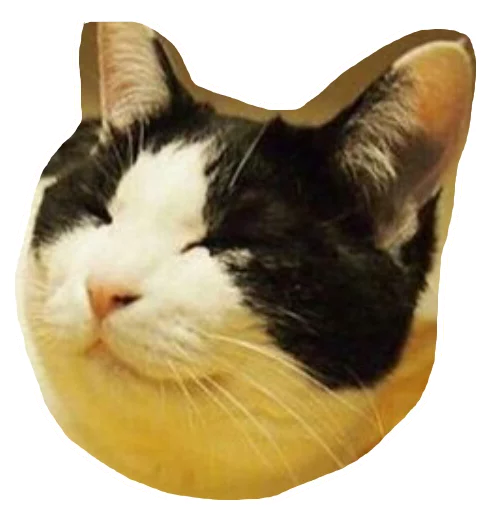 ☺️ Стикер «Caticker» для Telegram