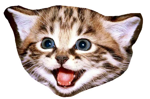 😠 Стикер «Caticker» для Telegram