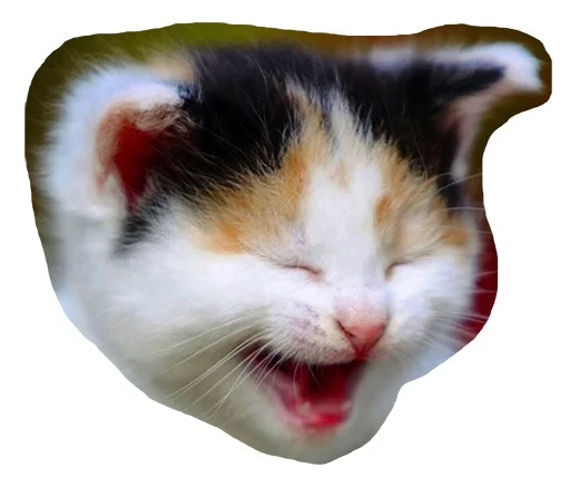 😄 Стикер «Caticker» для Telegram