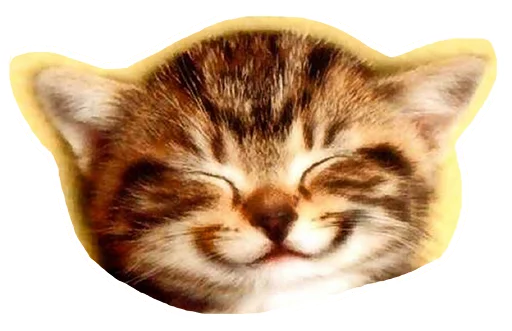 😊 Стикер «Caticker» для Telegram