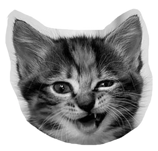 😏 Стикер «Caticker» для Telegram