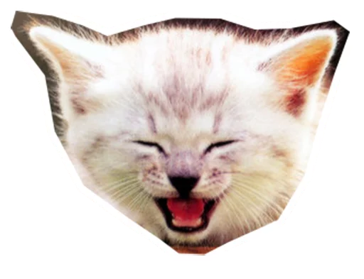 😆 Стикер «Caticker» для Telegram