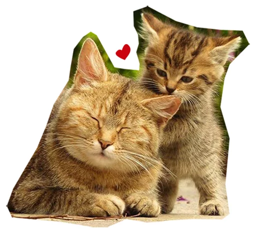 ❤ Стикер «Caticker» для Telegram