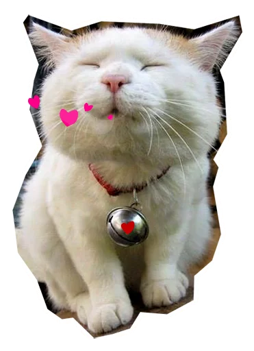 😘 Стикер «Caticker» для Telegram