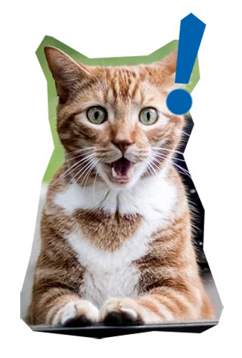 😮 Стикер «Caticker» для Telegram