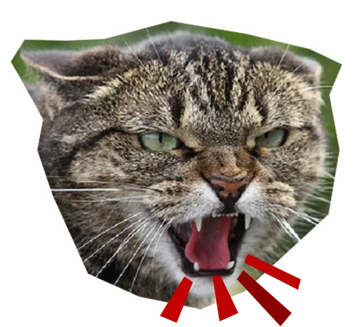 😡 Стикер «Caticker» для Telegram