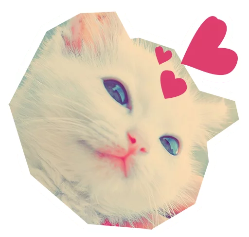 💜 Стикер «Caticker» для Telegram