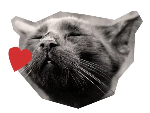 💋 Стикер «Caticker» для Telegram