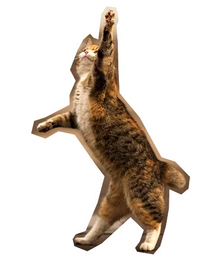 ✋ Стикер «Caticker» для Telegram