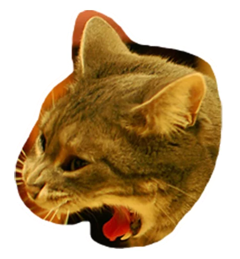 😷 Стикер «Caticker» для Telegram
