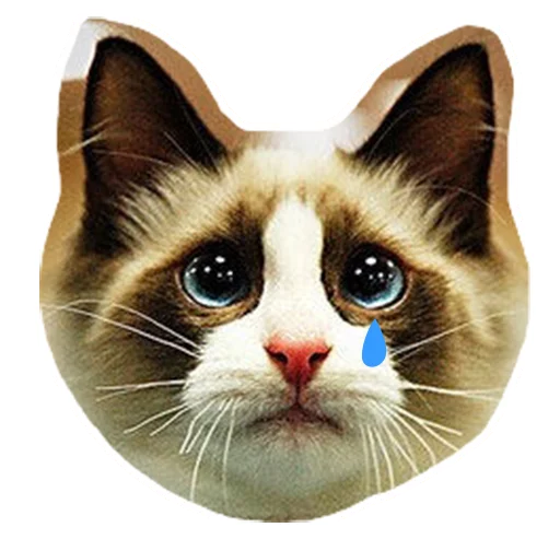 😢 Стикер «Caticker» для Telegram