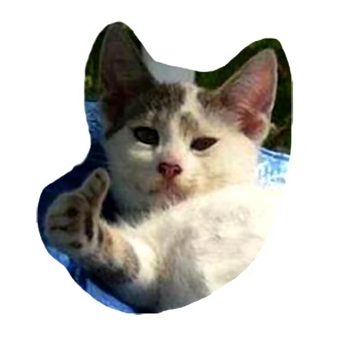 👍 Стикер «Caticker» для Telegram