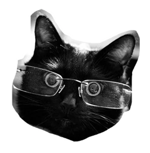 😳 Стикер «Caticker» для Telegram