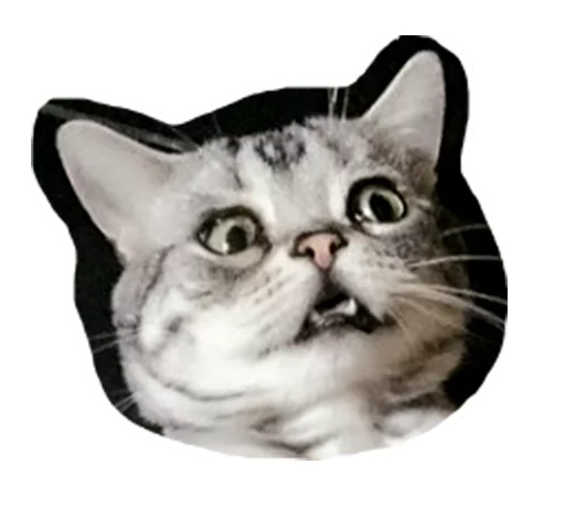 😰 Стикер «Caticker» для Telegram