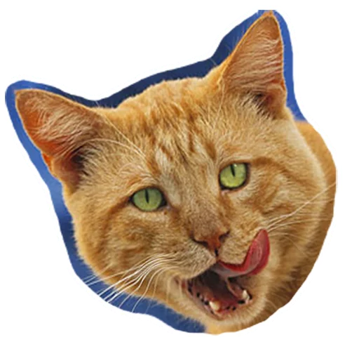 😋 Стикер «Caticker» для Telegram