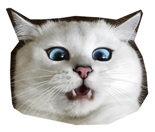 😨 Стикер «Caticker» для Telegram