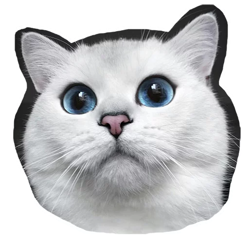 😳 Стикер «Caticker» для Telegram