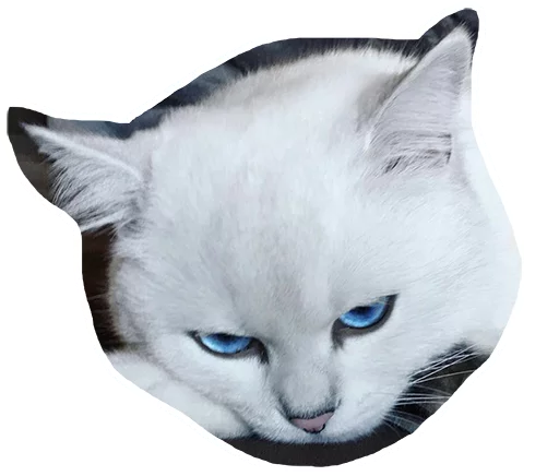 😒 Стикер «Caticker» для Telegram