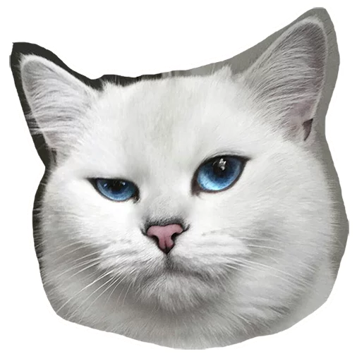 😒 Стикер «Caticker» для Telegram