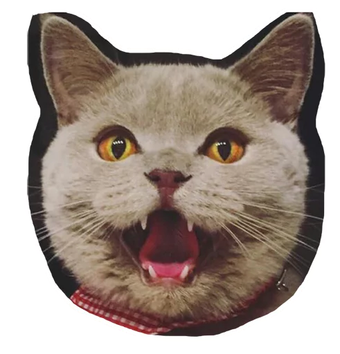 😠 Стикер «Caticker» для Telegram