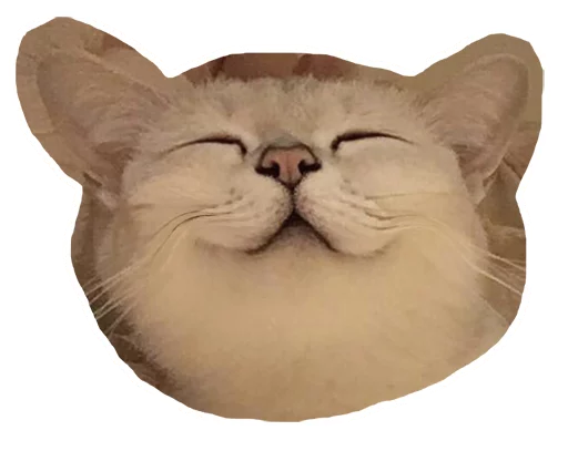 😊 Стикер «Caticker» для Telegram