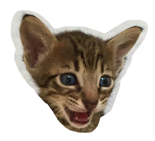 😀 Стикер «Caticker» для Telegram