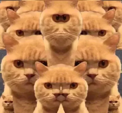 👀 Стикер «catislooking» для Telegram