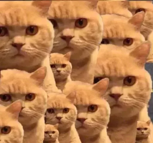 👀 Стикер «catislooking» для Telegram