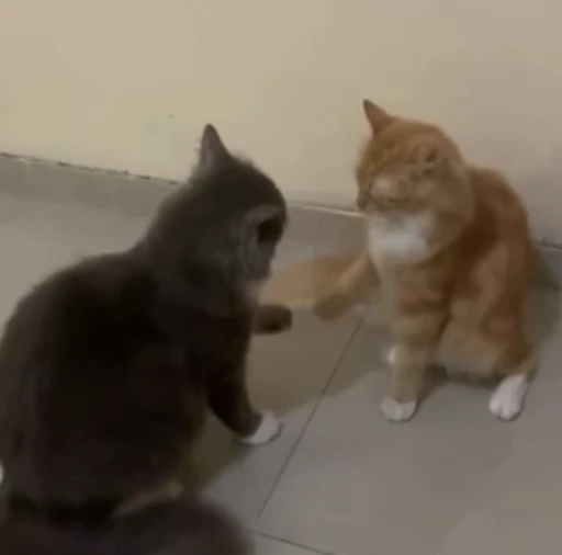 🤝 Стикер «Котайзеры» для Telegram
