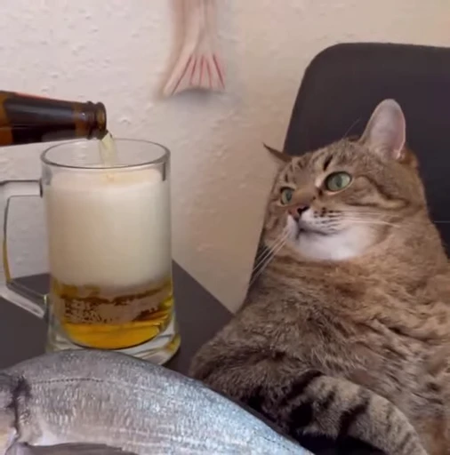 🍺 Стикер «Котайзеры» для Telegram