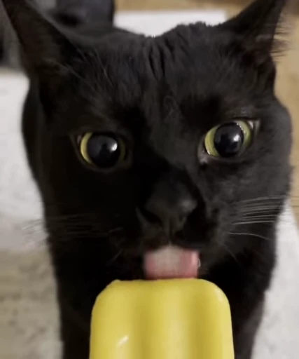 👅 Стикер «Котайзеры» для Telegram