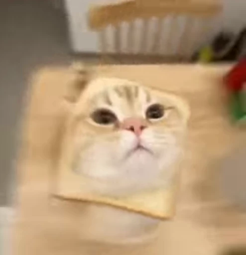 🍞 Стикер «Котайзеры» для Telegram