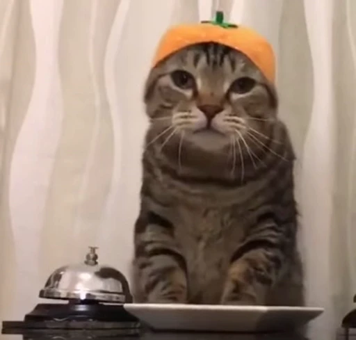 🛎 Стикер «Котайзеры» для Telegram