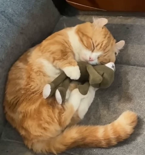 🤗 Стикер «Котайзеры» для Telegram