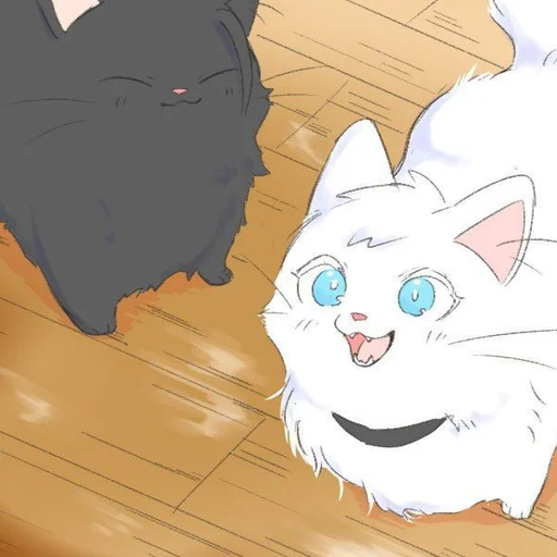 🐈 Стикер «Cat Kaisen-1 ‍⬛» для Telegram