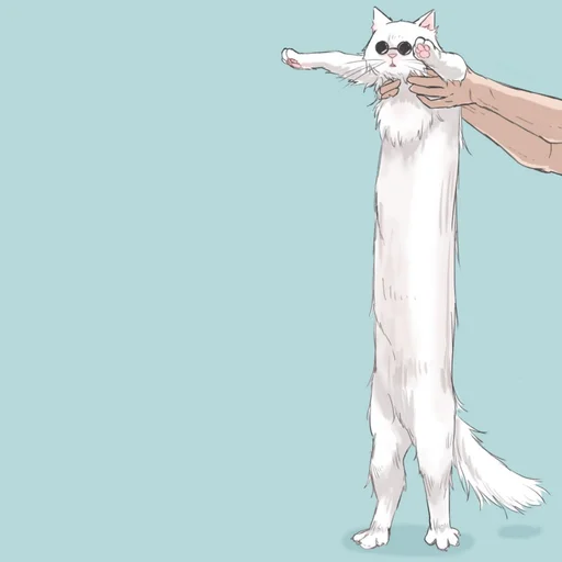 🐈 Стикер «Cat Kaisen-2 ‍⬛» для Telegram